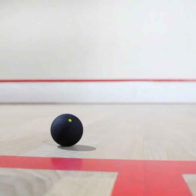 Accessoires de sport de voyage bleu simple pour balle de squash (ESG19018)
